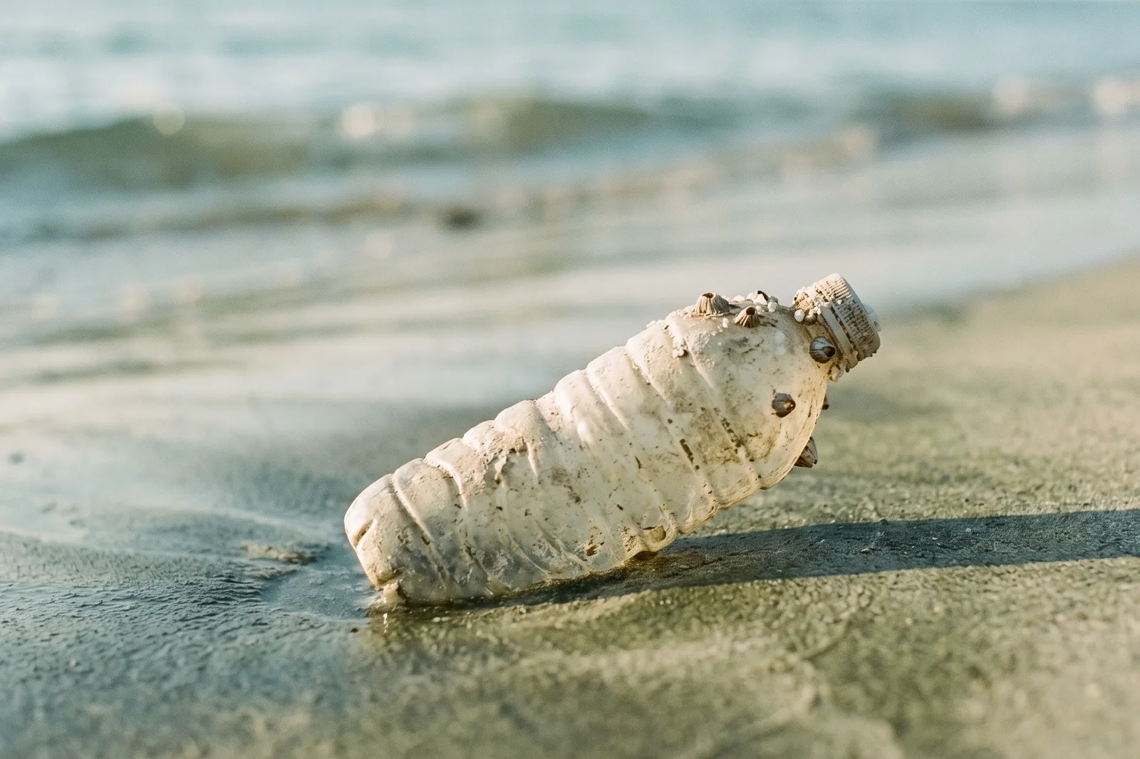 Una botella de plástico decolorada por el sol y el mar, con percebes pegados al cuello, medio enterrada en la arena mojada de la orilla.